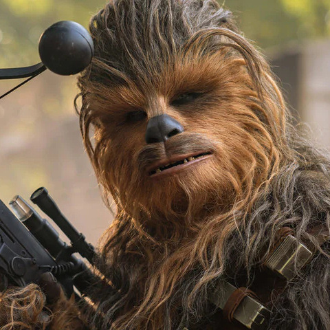 Chewbacca