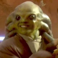 Kit Fisto