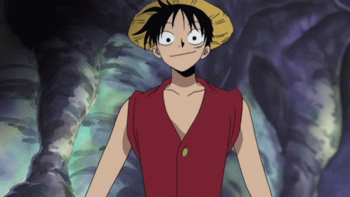 Monkey D. Luffy ♡