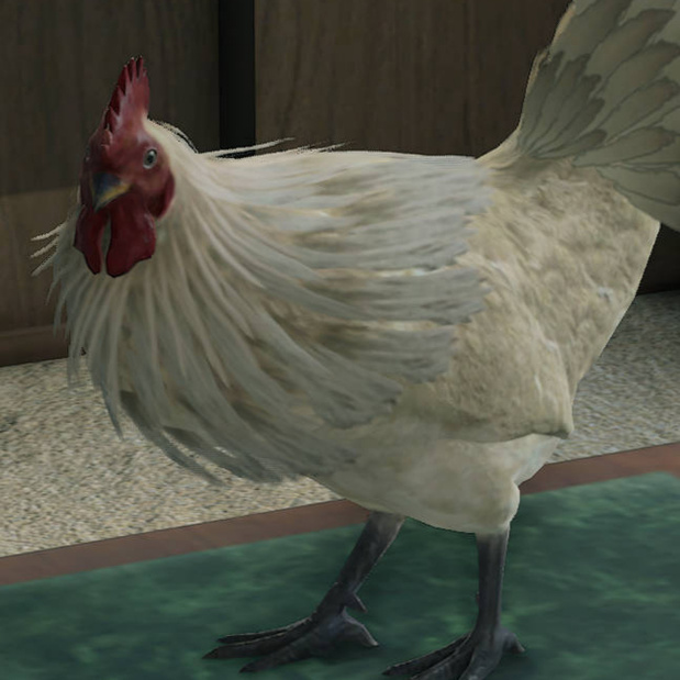 Omelette