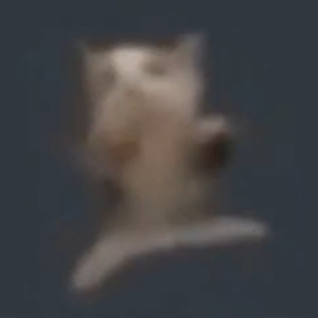 schni schna schnappi