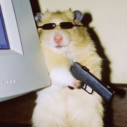 Hamsters